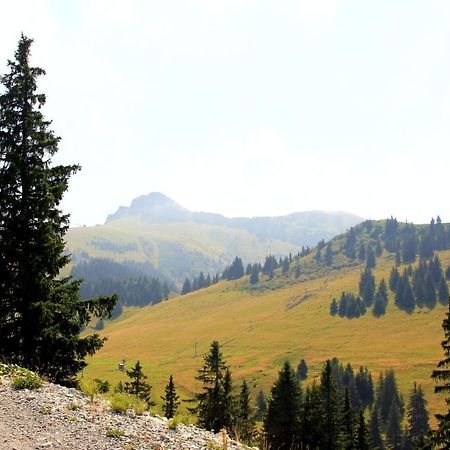 Appartement Confortable A Thollon-Les-Memises Avec Vue Екстериор снимка